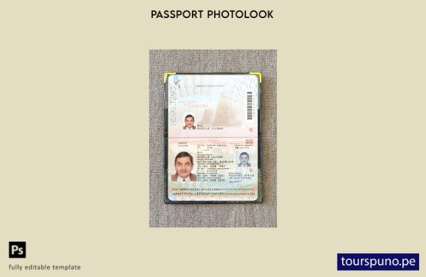 listo para imprimir plantilla de presentación fotográfica del pasaporte de Antig